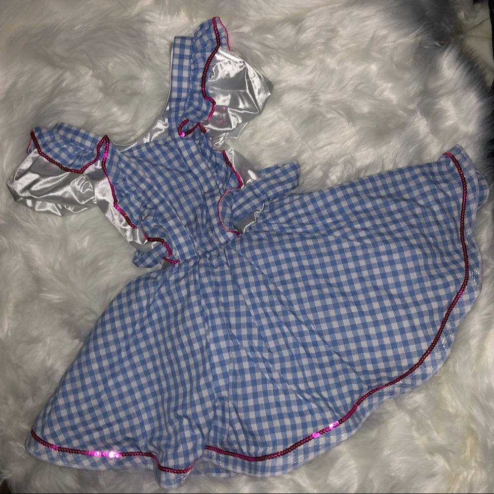 Dorothy costume size medium